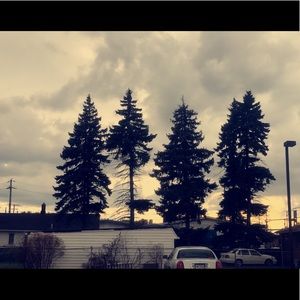 Meet your Posher, Marie